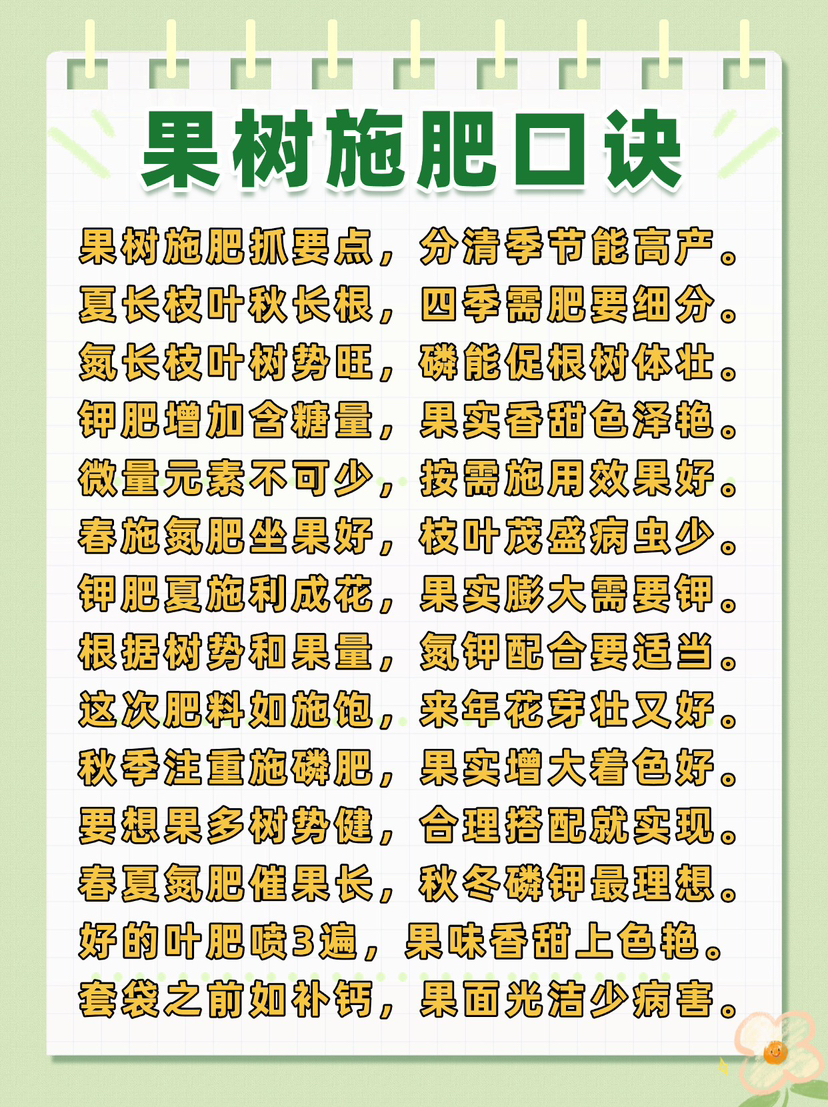 http://st-static1.y6486.cn/forums/2024/12/26/17351998504236.png