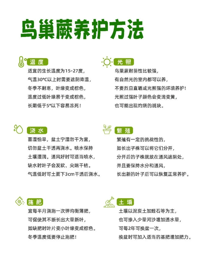 http://st-static1.y6486.cn/forums/2024/12/26/17352082321393.png