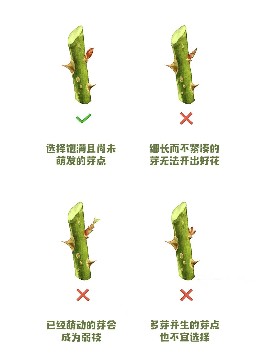 http://st-static1.y6486.cn/forums/2024/12/30/17355525117241.png