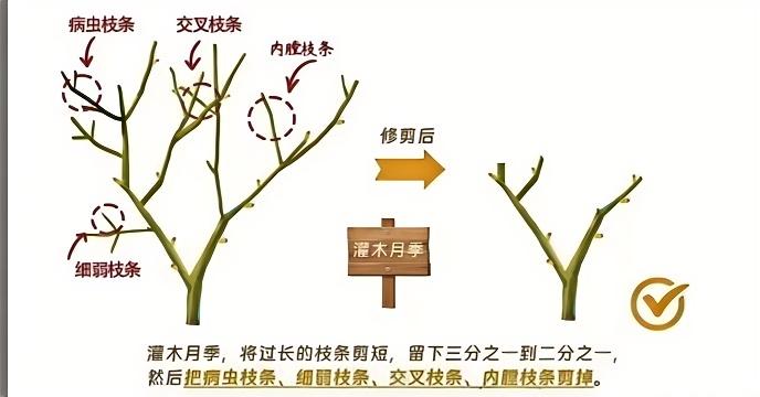 http://st-static1.y6486.cn/forums/2024/12/30/17355526554123.jpg