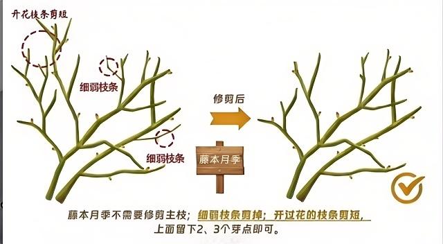 http://st-static1.y6486.cn/forums/2024/12/30/17355526909945.jpg