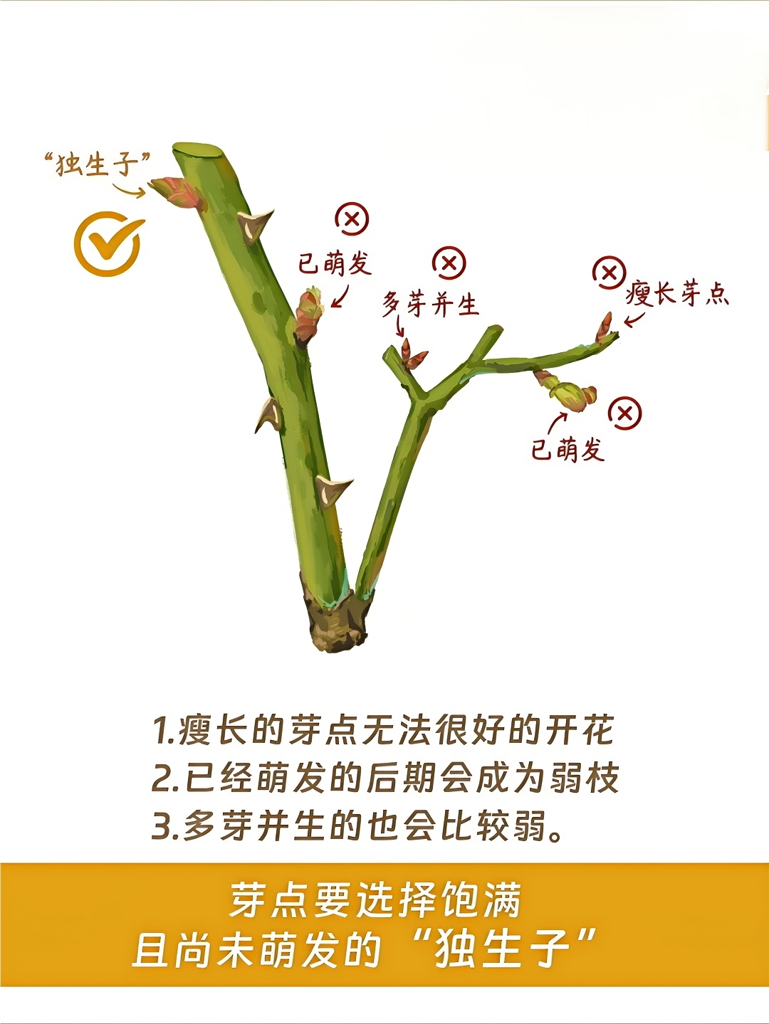 http://st-static1.y6486.cn/forums/2024/12/30/17355527515117.png