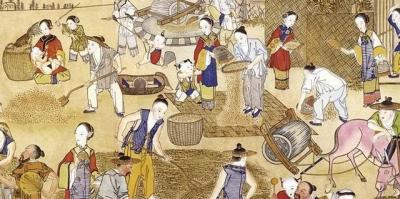 系列二：《官方力挺：红薯北上之路》