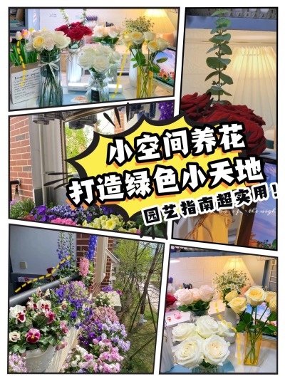 小空间养花指南 | 打造你的绿色小天地🌱