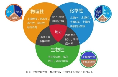 土壤和作物生育的关系