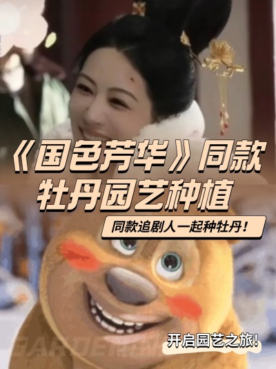 举个花铲铲，跟着《国色芳华》一起种牡丹！