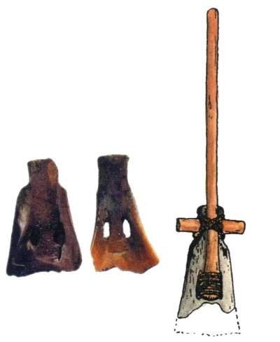 8000 年前的「米其林」盛宴：河姆渡人用牛骨吃饭的惊天秘密