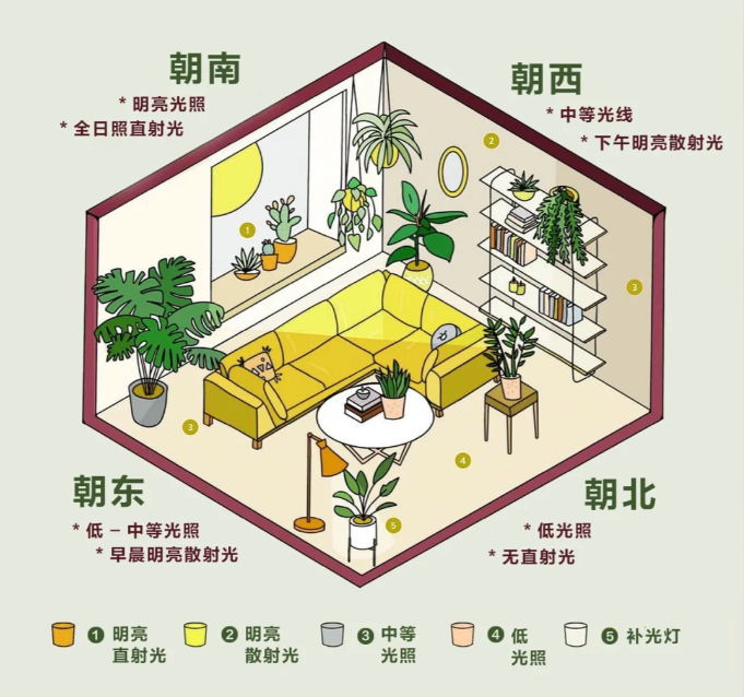 http://st-static1.y6486.cn/forums/2025/02/06/17388128291586.png