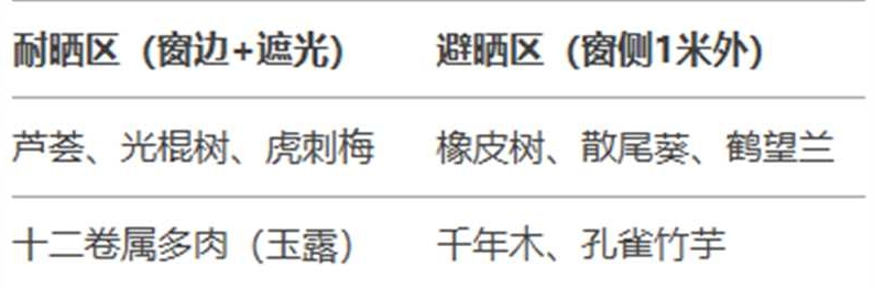http://st-static1.y6486.cn/forums/2025/02/06/17388142171387.jpg