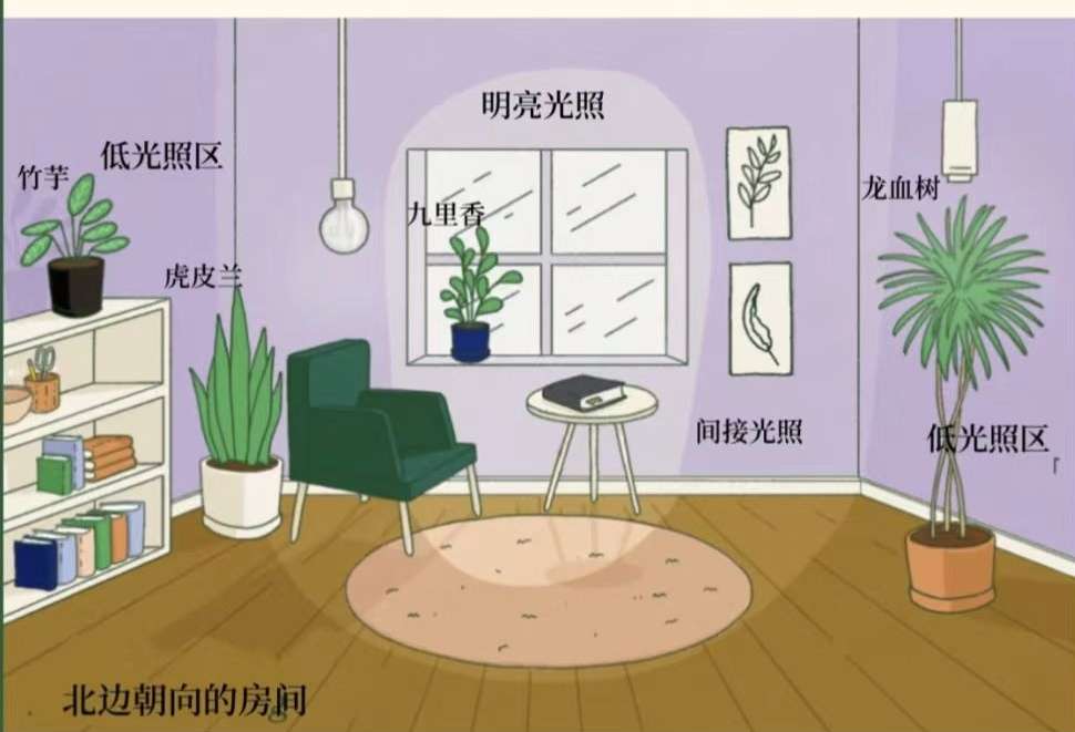 http://st-static1.y6486.cn/forums/2025/02/06/17388144187134.jpeg
