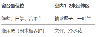 http://st-static1.y6486.cn/forums/2025/02/06/17388144817834.png