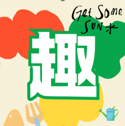 大别墅还是小出租？选对花盆让绿植告别&ldquo;emo&rdquo;