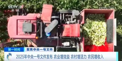 2025中央一号文件深度解读丨园艺景观行业迎来黄金发展期，三大机遇不可错过！