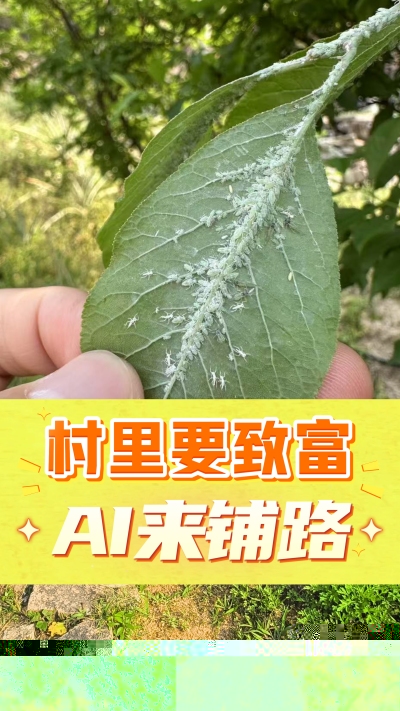 没有套路的农村AI工具，就是识农小程序