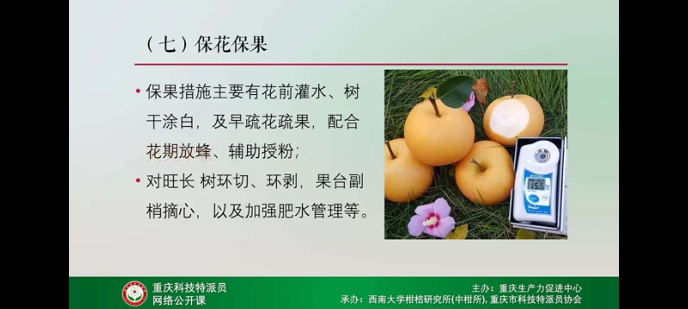 http://st-static1.y6486.cn/forums/2025/04/20/17451291568942.jpeg