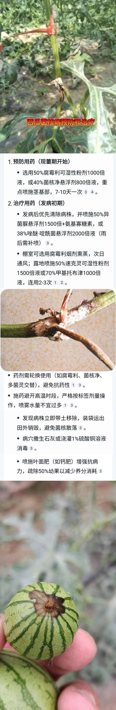 http://st-static1.y6486.cn/forums/2025/04/23/17453936646134.jpeg
