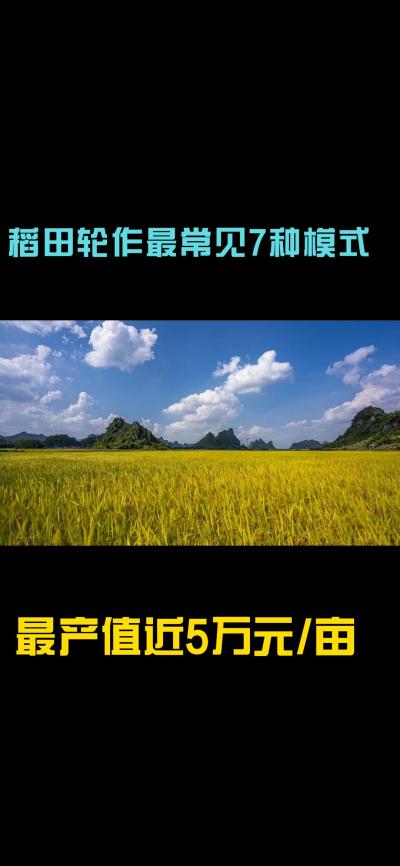 &ldquo;一田多收，藏着农业增收的密码！今天带您1分钟看懂水稻轮作的致富密码