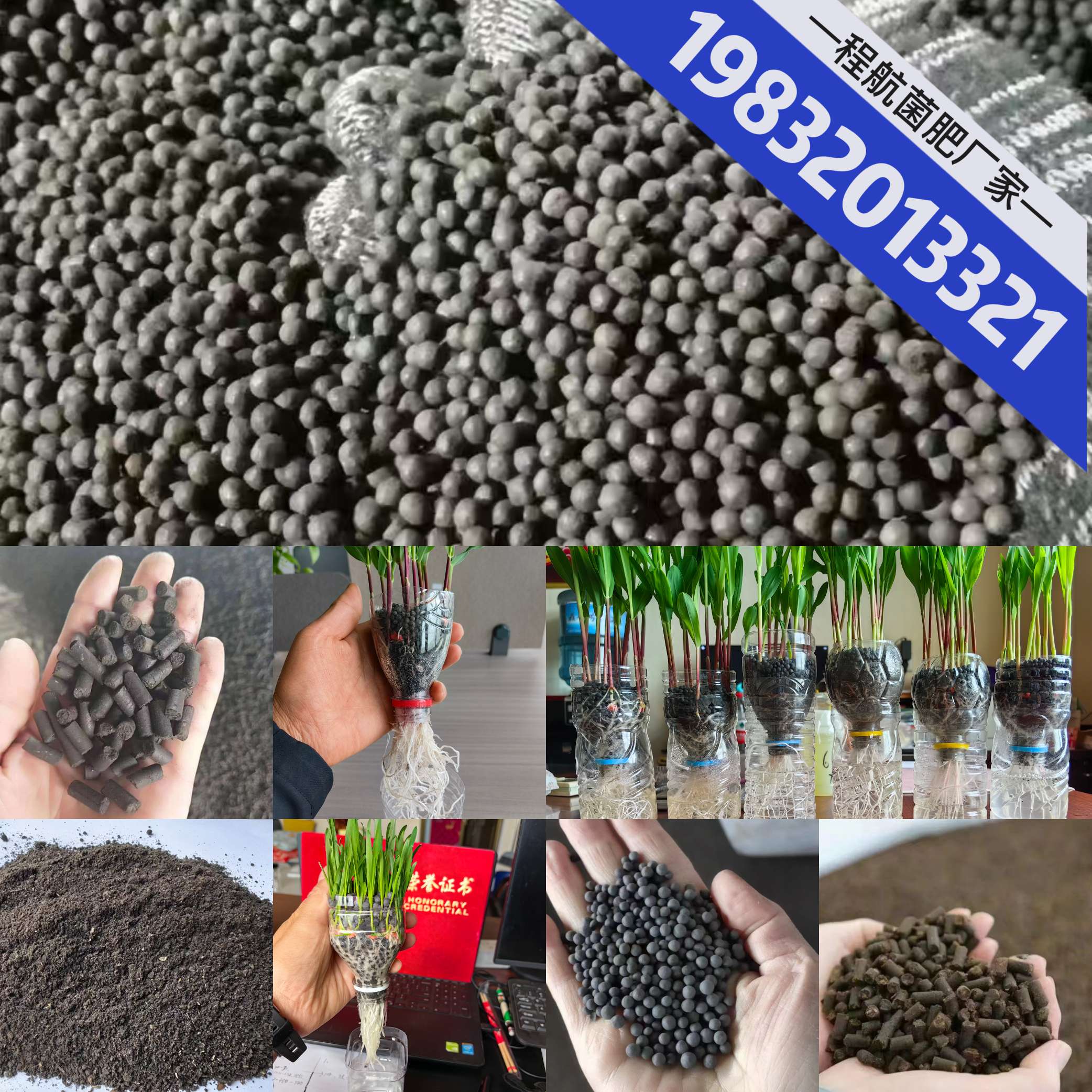 http://st-static1.y6486.cn/forums/2025/06/25/17508210784306.jpeg