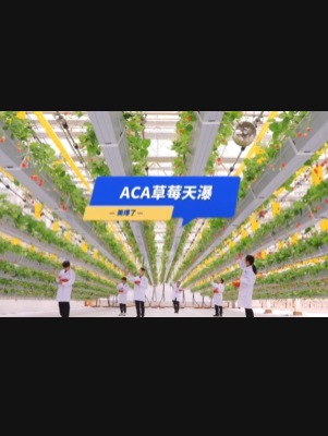 自由升降、追光生长。#ACA草莓天瀑，美爆了！向天再借500平！#ACA可控农业 #华维集团 #数字农业