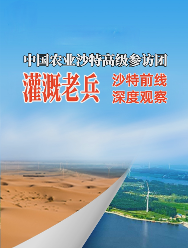 #华维沙特行 灌溉之于沙漠之城利雅得的现实意义 #灌溉不止于灌溉 #华维集团