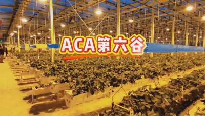 #ACA第六谷 模式，打造#ACA作物工厂，规划建园到栽培种植水肥管理一站式服务！#可控农业 #华维集团