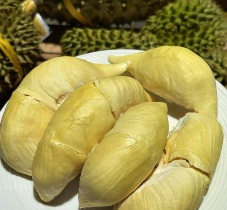 泰国甲仑榴莲
浓香满口，丝滑如奶油
甜甜糯糯，榴莲味浓郁
谁让它是泰国榴莲界的元