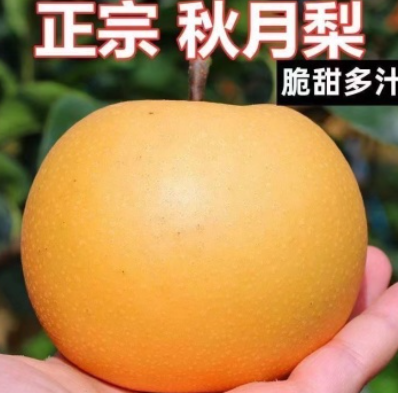 http://st-static1.y6486.cn/forums/2025/07/29/17537865122719.png