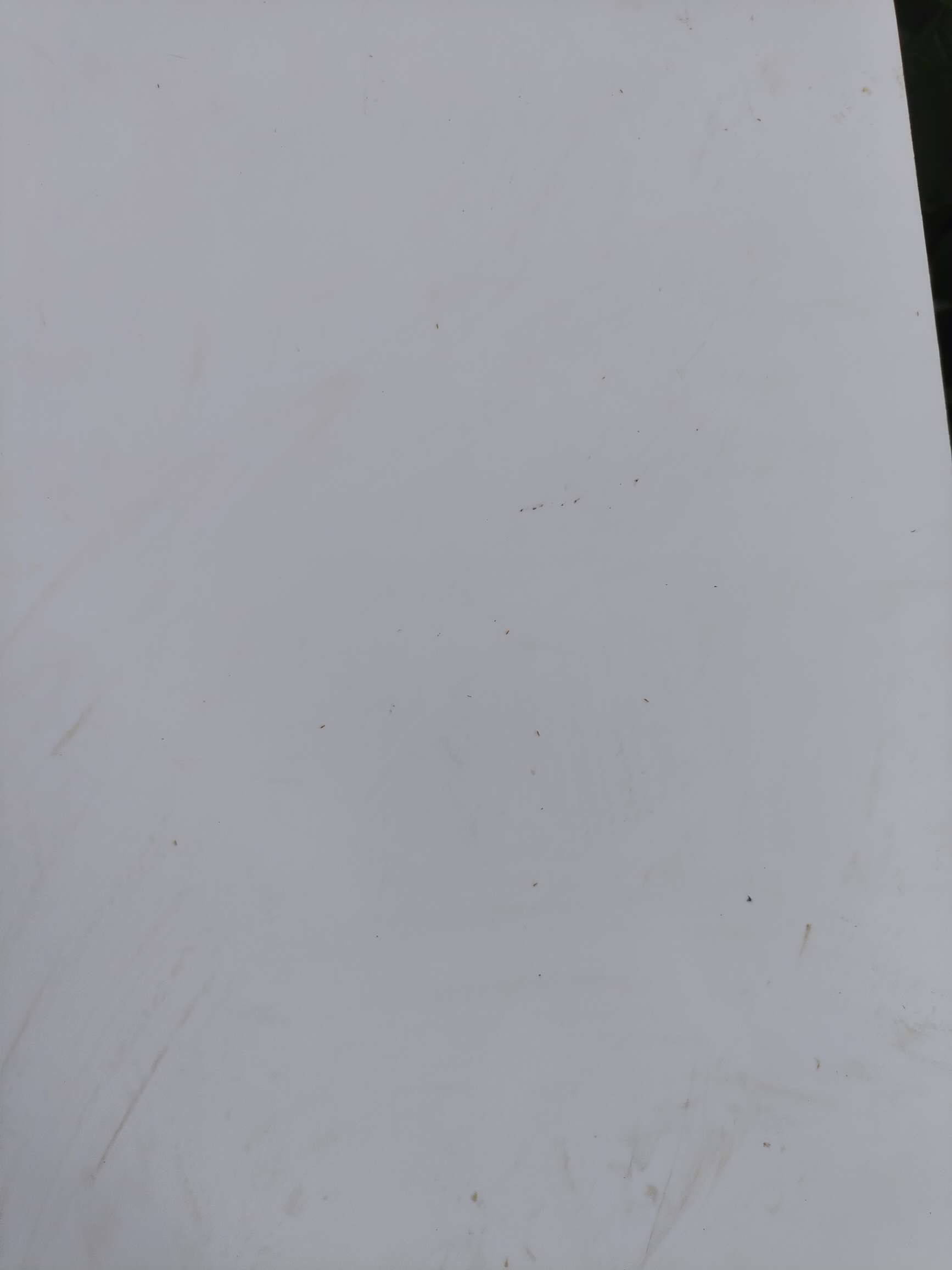 http://st-static1.y6486.cn/forums/2025/08/18/17555288245629.jpeg
