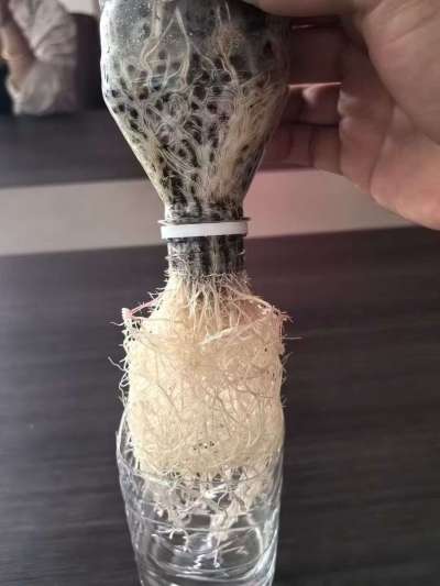 年销售量三十万吨的有机肥生产厂家，全国网点发货，资质齐全，正品保障！有机肥、生物菌肥、微生物肥料等