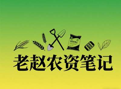 乡镇农资店对接厂家：不是否定代理，是找对&ldquo;有前景的小厂&rdquo;补增量