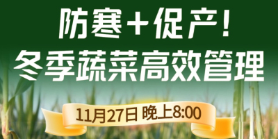 《细说农技》专家张宝林教冬季蔬菜防寒 + 促产高效管理，27 日晚 8 点！