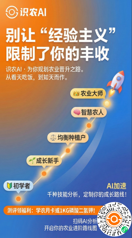 http://st-static1.y6486.cn/forums/2025/11/27/17642315792371.png