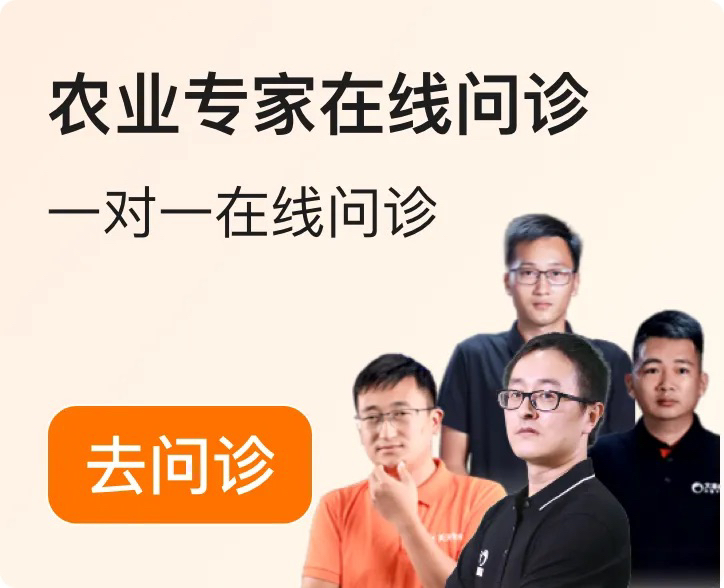 http://st-static1.y6486.cn/forums/2025/12/04/17648348949299.png