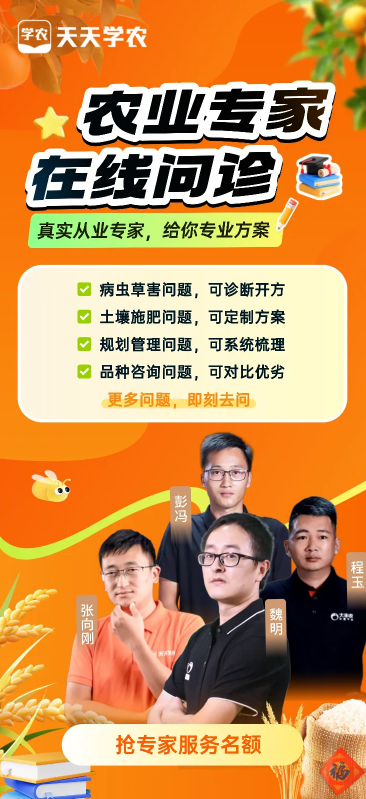 http://st-static1.y6486.cn/forums/2025/12/04/17648349249599.png