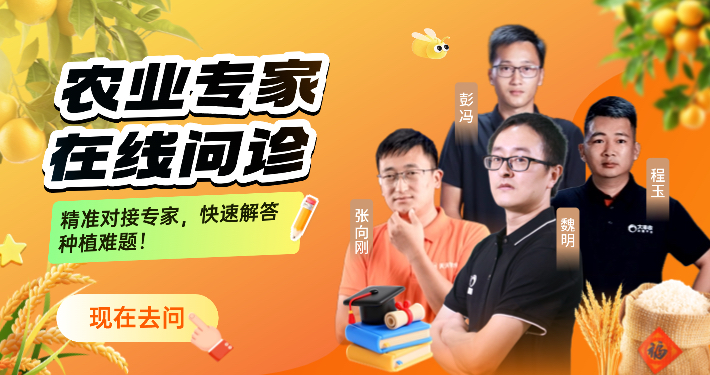 http://st-static1.y6486.cn/forums/2025/12/04/17648350671478.png