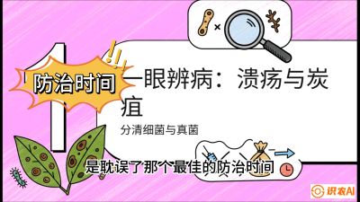 第三节：细菌与真菌&mdash;&mdash;溃疡病与炭疽病，课程：《柑橘十大病虫害：从入门到精通》