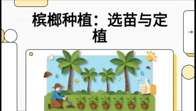 第01节：选苗与定植&mdash;&mdash;&ldquo;苗好一半收，底肥定千秋&rdquo;课程：《槟榔种植：从不懂到精通的10堂必修课》