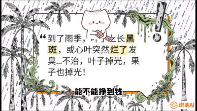 第05节：常见真菌病害&mdash;&mdash;&ldquo;炭疽与烂心，早防值千金&rdquo;《槟榔种植：从不懂到精通的10堂必修课》