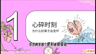 第08节：微量元素与保果&mdash;&mdash;&ldquo;补硼又补钙，果子不裂坏&rdquo;《槟榔种植：从不懂到精通的10堂必修课》