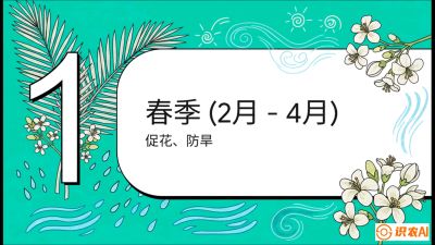 第10节：周年农事日历&mdash;&mdash;&ldquo;跟着节气走，丰产在手头&rdquo;《槟榔种植：从不懂到精通的10堂必修课》