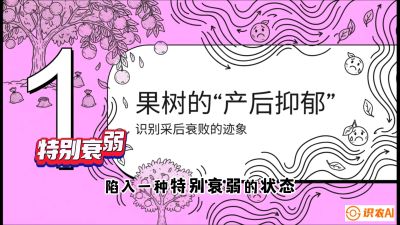 第2节：【冬肥策略】采后&ldquo;月子肥&rdquo;：大小年的精准干预术，课程：《柑橘底肥&ldquo;翻身账&rdquo;：从改土到高产的实战全书》