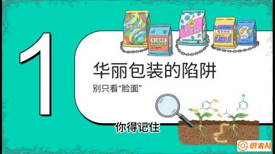 第4节：【黄金配方】底肥里的&ldquo;铁三角&rdquo;与&ldquo;微量雷区&rdquo;课程：《柑橘底肥&ldquo;翻身账&rdquo;：从改土到高产的实战全书》
