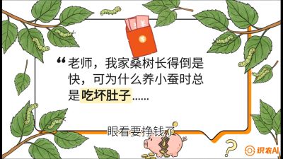 第01节：不仅仅是树&mdash;&mdash;顶级品种选配策略，课程：《桑海淘金：桑树高产与蚕桑安全进阶实战课》