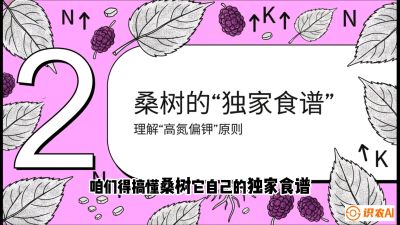 第04节：地下核动力&mdash;&mdash;桑树专用水肥一体化配方，课程：《桑海淘金：桑树高产与蚕桑安全进阶实战课》