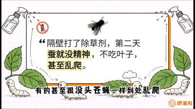 第05节：养蚕人的&ldquo;排雷战&rdquo;&mdash;&mdash;除草剂的生死禁忌，课程：《桑海淘金：桑树高产与蚕桑安全进阶实战课》