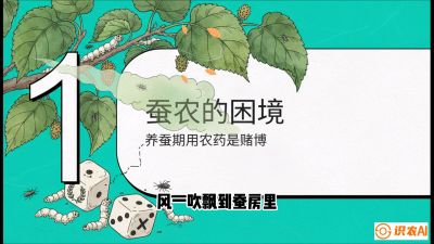 第06节：虫口夺叶（上）&mdash;&mdash;物理与生物防控绝技，课程《桑海淘金：桑树高产与蚕桑安全进阶实战课》