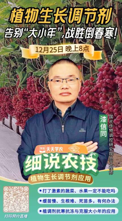 http://st-static1.y6486.cn/forums/2025/12/23/17664639985811.png