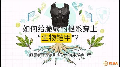 第三节：国产榴莲突围战：根系堡垒，菌根微生态构建与黄金定植窗口，课程：《国产榴莲突围战：从泰国经验到中国实操的8堂必修课（高阶实战版）》