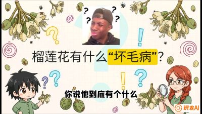 第六节：榴莲的午夜战事，夜间授粉战与花果期避雨策略，课程：《国产榴莲突围战：从泰国经验到中国实操的8堂必修课（高阶实战版）》