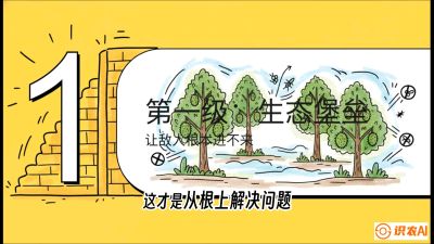 第七节：榴莲防御战：病虫害三级立体防控，疫霉菌与虫害的立体封锁线，课程：《国产榴莲突围战：从泰国经验到中国实操的8堂必修课（高阶实战版）》